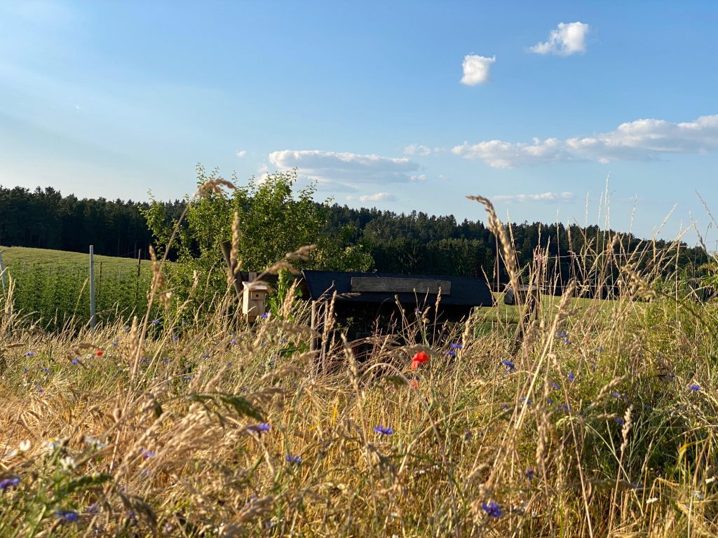 Insektenhotels am Wegesrand