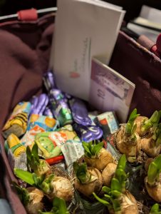 Grüne Rohrbach/ Ilm | PubQuiz am 06.03.2026