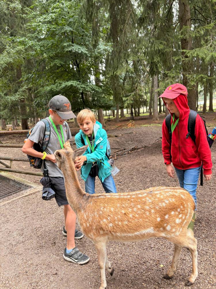 Rohrbazi Ausflug in den Wildpark Poing